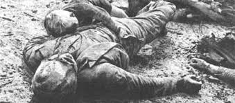 Image result for dresden firebombing pictures